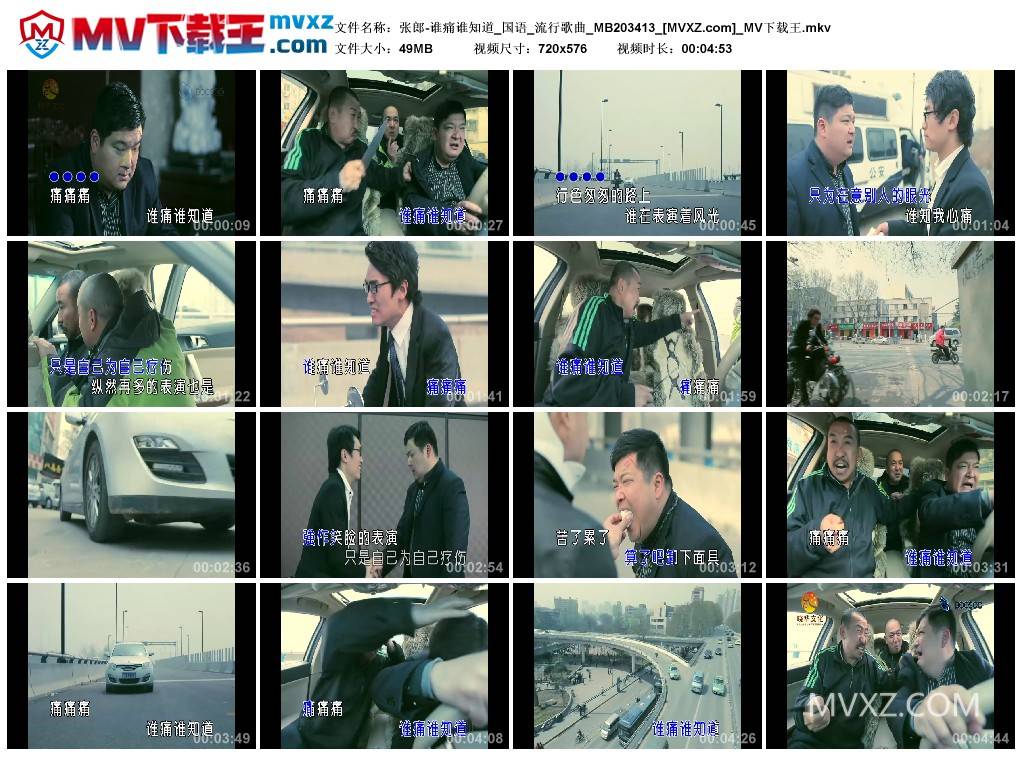 张郎-谁痛谁知道_国语_流行歌曲_MB203413